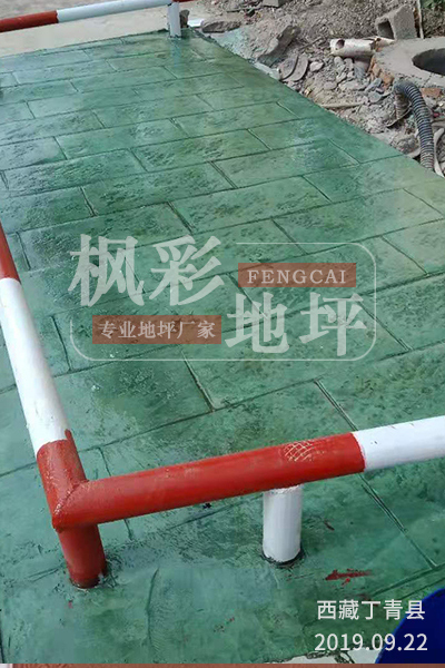 西藏丁青縣